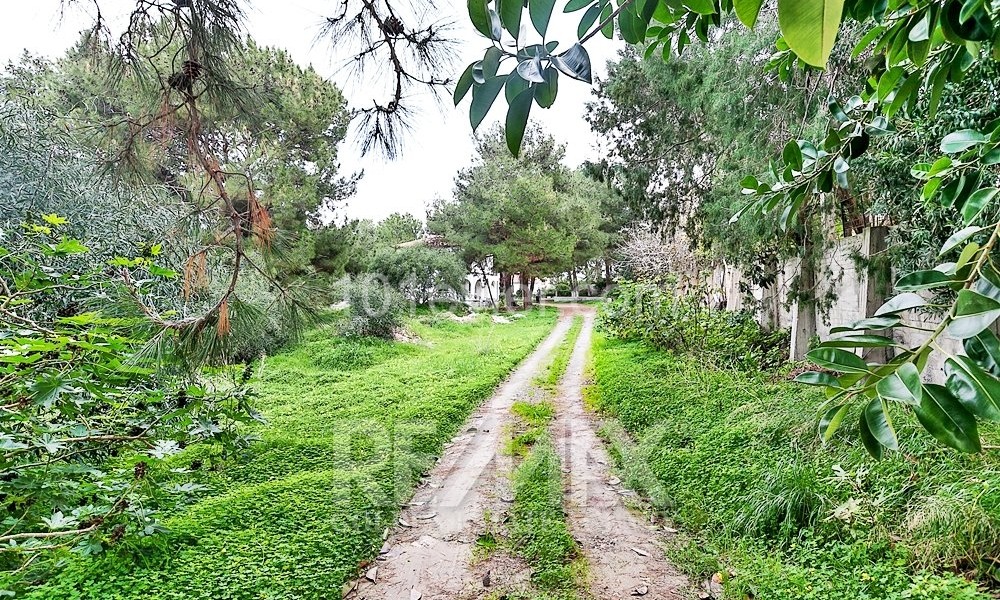 Land In Dogankoy