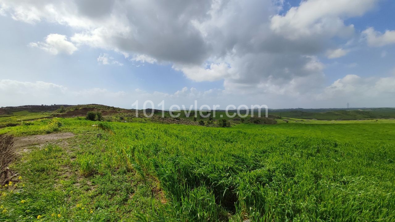 An impressive plot of land located in Boğaz area 22411m2