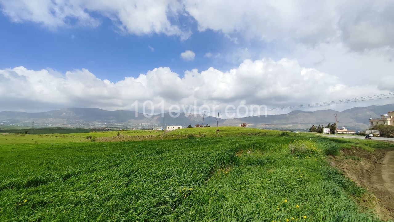 An impressive plot of land located in Boğaz area 22411m2