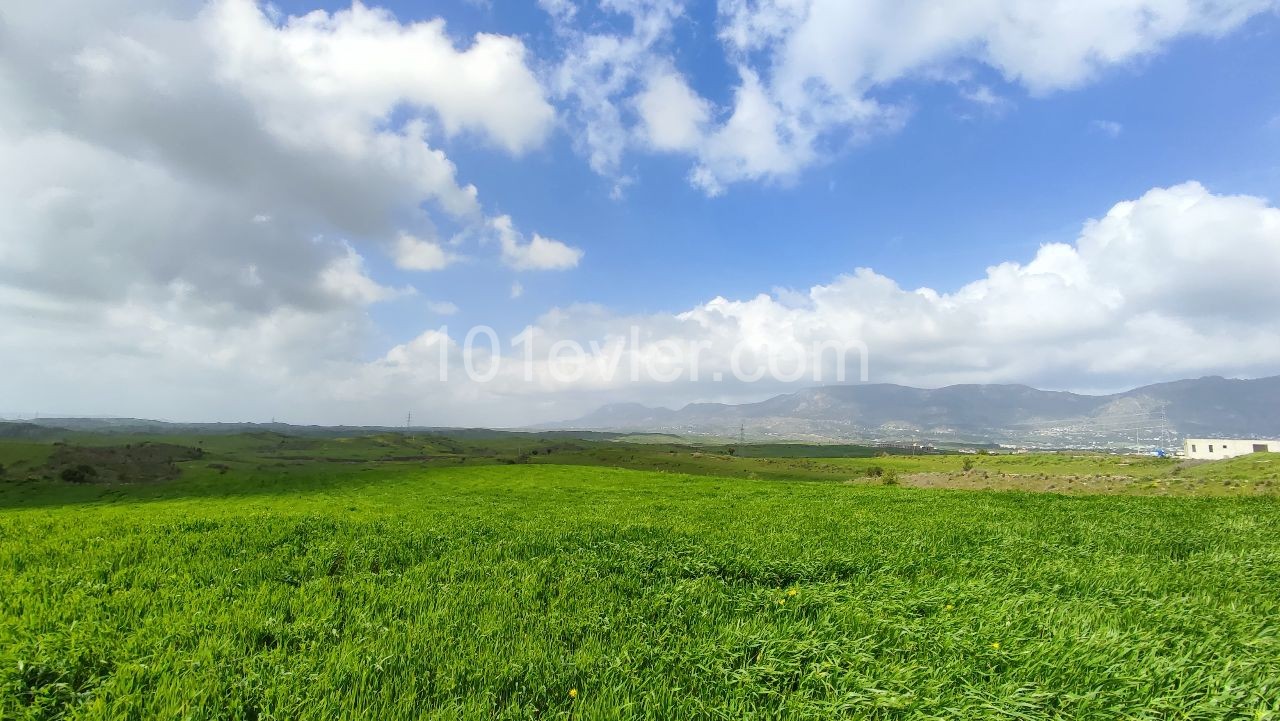 An impressive plot of land located in Boğaz area 22411m2