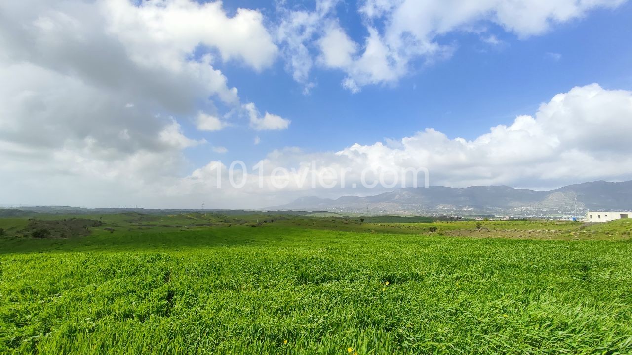 An impressive plot of land located in Boğaz area 22411m2