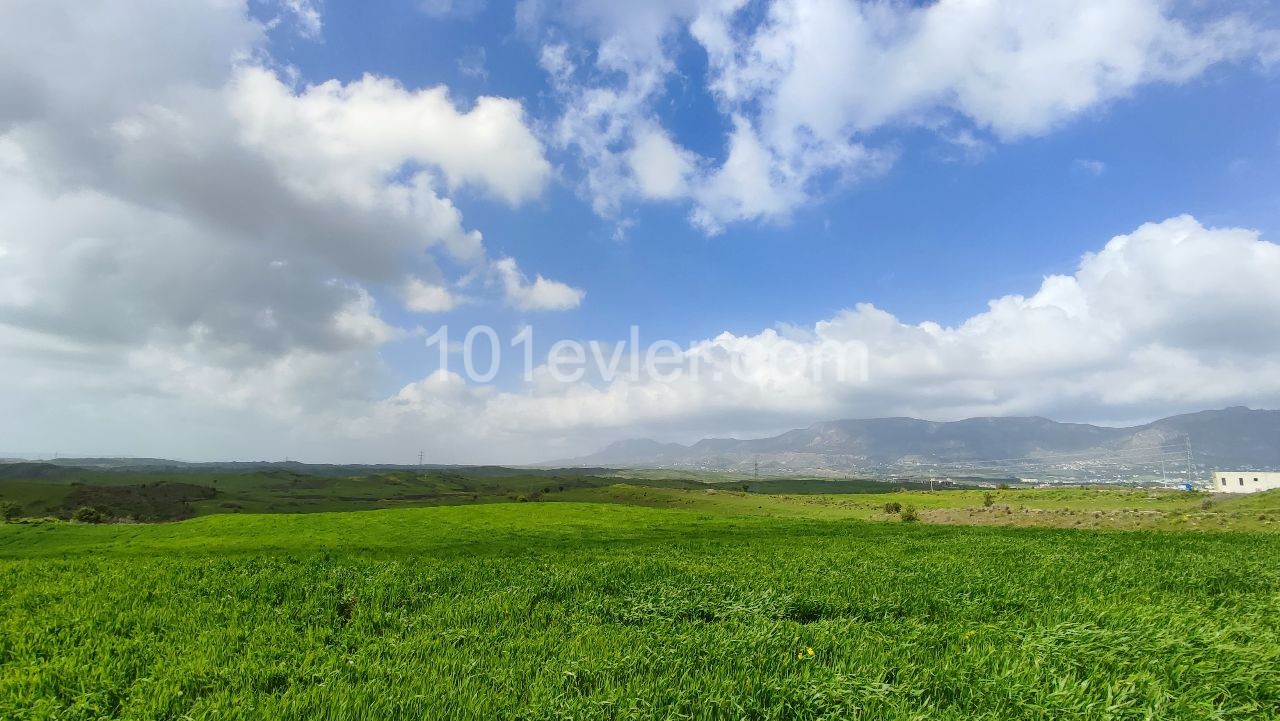 An impressive plot of land located in Boğaz area 11206m2