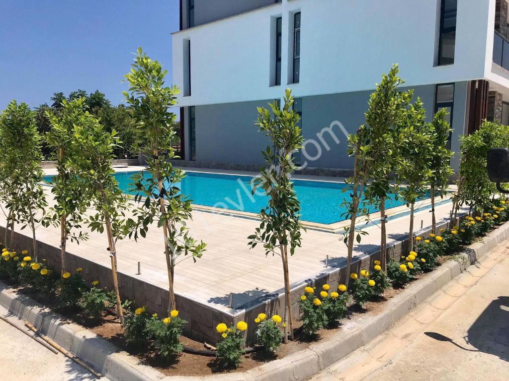 Cyprus Kyrenia District Lapta at 1+ 1 Apartment for Sale  