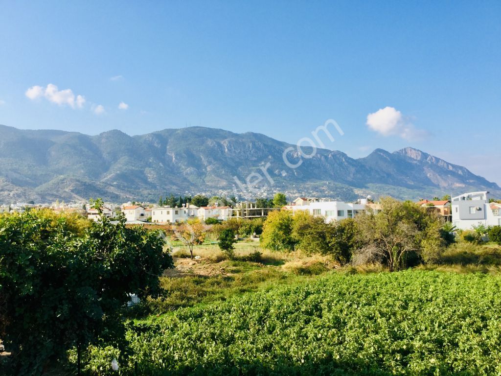 Eben Kaufen in Alsancak, Kyrenia