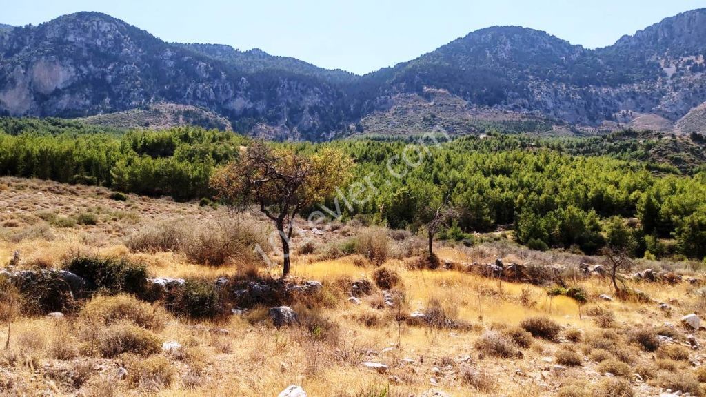 Land For Sale in Kyrenia