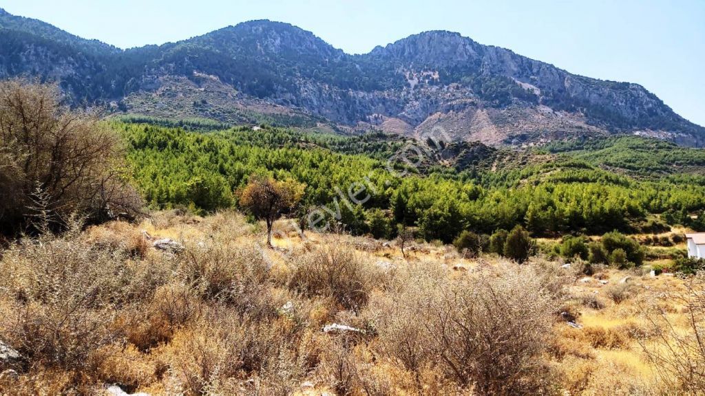 Land For Sale in Kyrenia