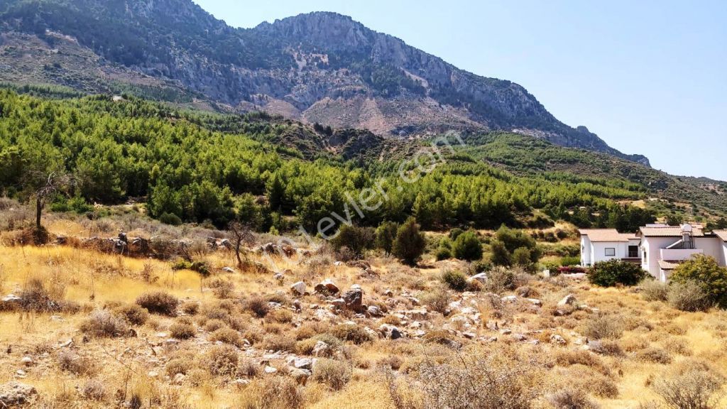 Land For Sale in Kyrenia