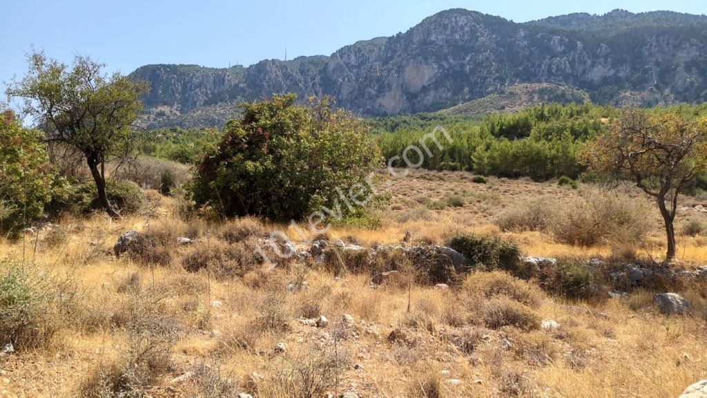 Land For Sale in Kyrenia