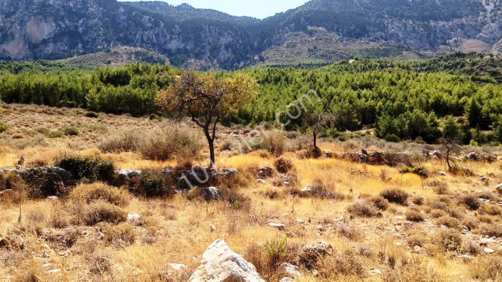 Land For Sale in Kyrenia