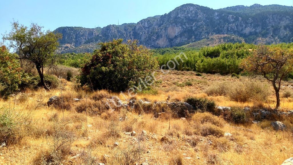 Land For Sale in Kyrenia