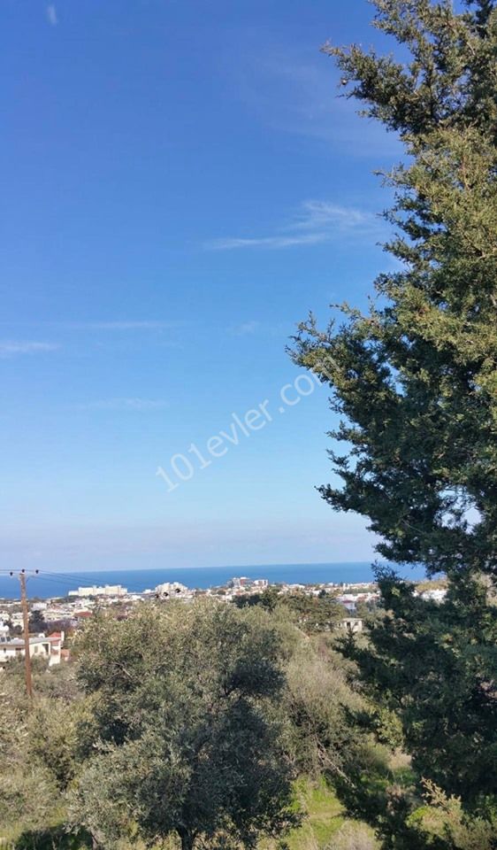 1050 M2 DECAPITATED SEA VIEW LAND FOR SALE IN ALSANCAK ** 