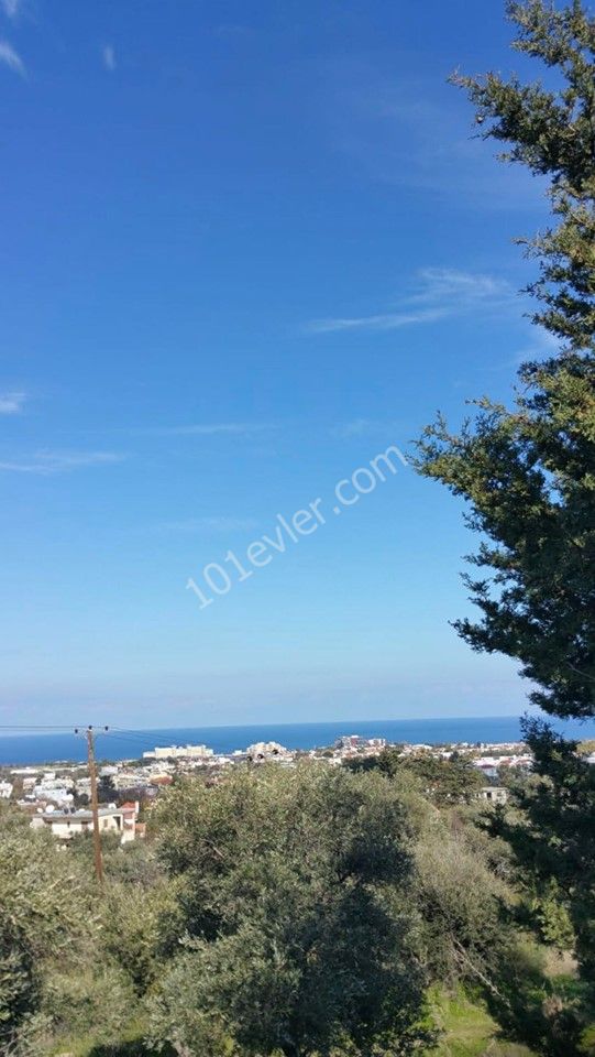 1050 M2 DECAPITATED SEA VIEW LAND FOR SALE IN ALSANCAK ** 