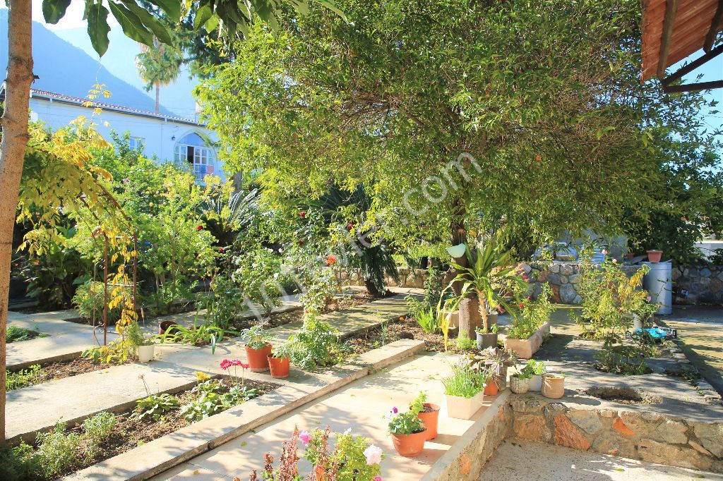  NORTH CYPRUS KYRENİA BELLAPAİS  FANTASTIC SALES OPPORTUNITY IN BELLAPAIS, FOR PERSONAL USE AND/OR COMMERCIAL USE