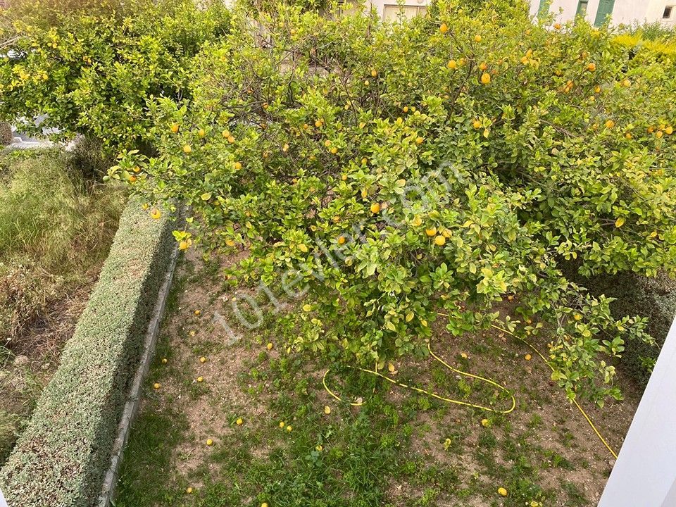 Halb freistehend Mieten in Alsancak, Kyrenia