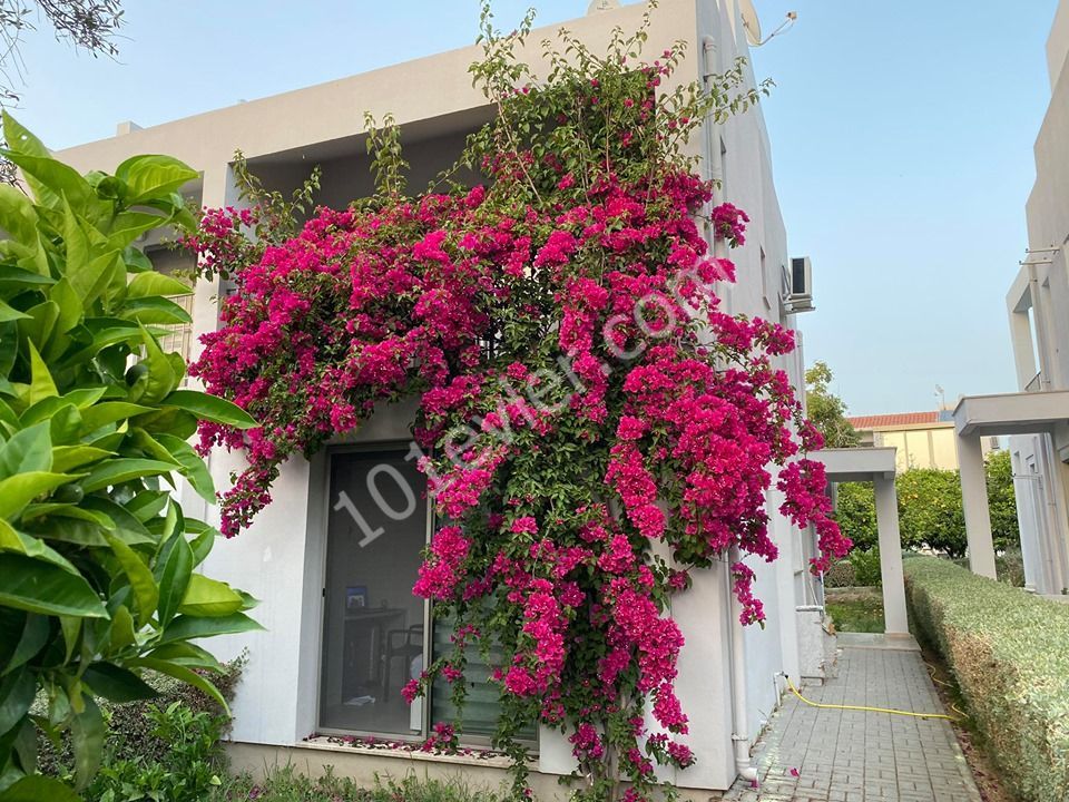 Semi Detached To Rent in Alsancak, Kyrenia