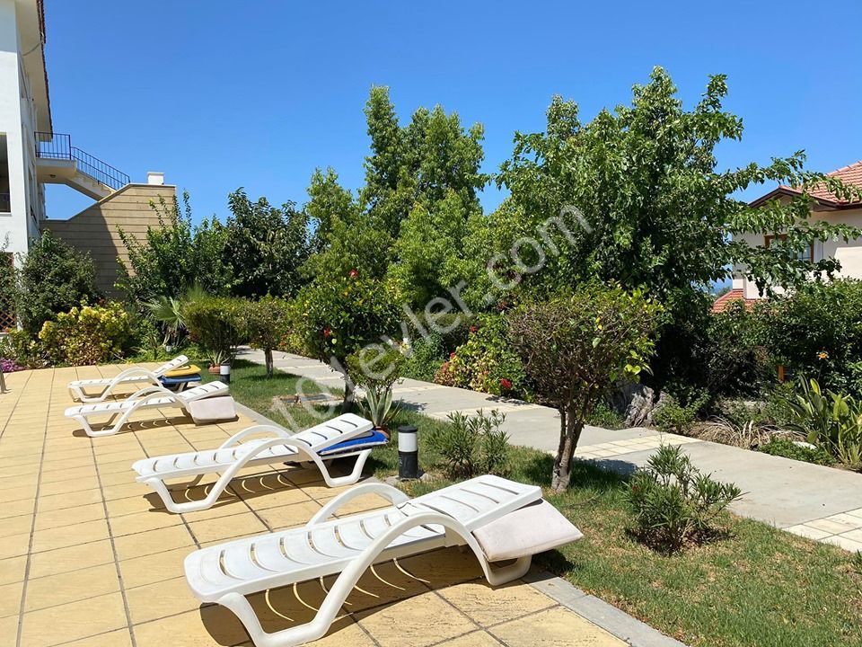 Flat To Rent in Lapta, Kyrenia