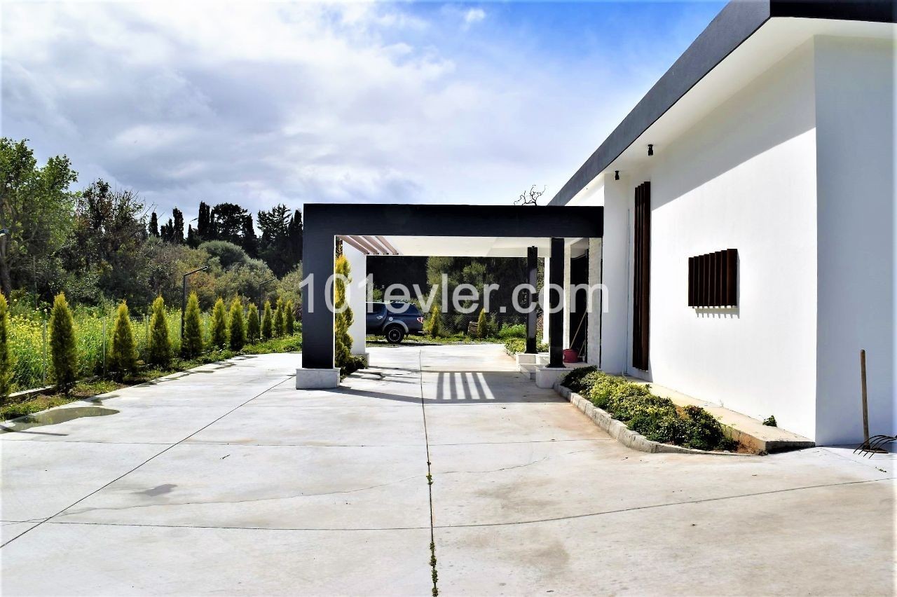 350 m2 Single-Storey 4 + 1 Luxury Villa with Modern Architectural Pool MADE in TURKISH ** 