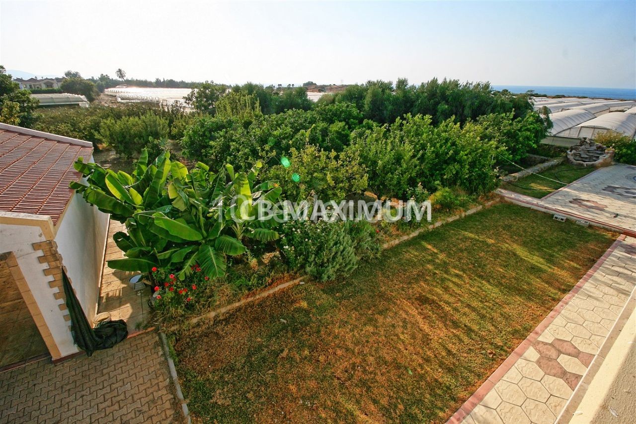 Detached Villa for Sale with 4 + 2 Pools Among 120 Fruit Trees in Als Decak, Kyrenia, Cyprus ** 