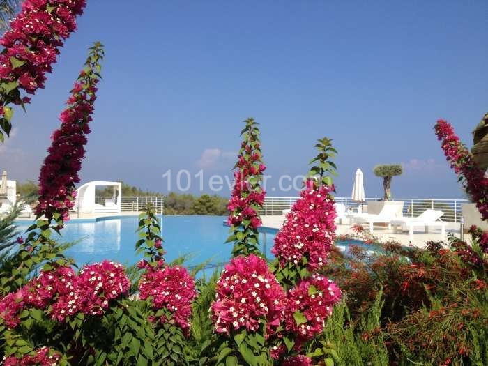 TRNC KYRENIA ESENTEPE MEERBLICK 2 + 1 LU LLOGARA PENTHOUSE ZU VERKAUFEN ** 