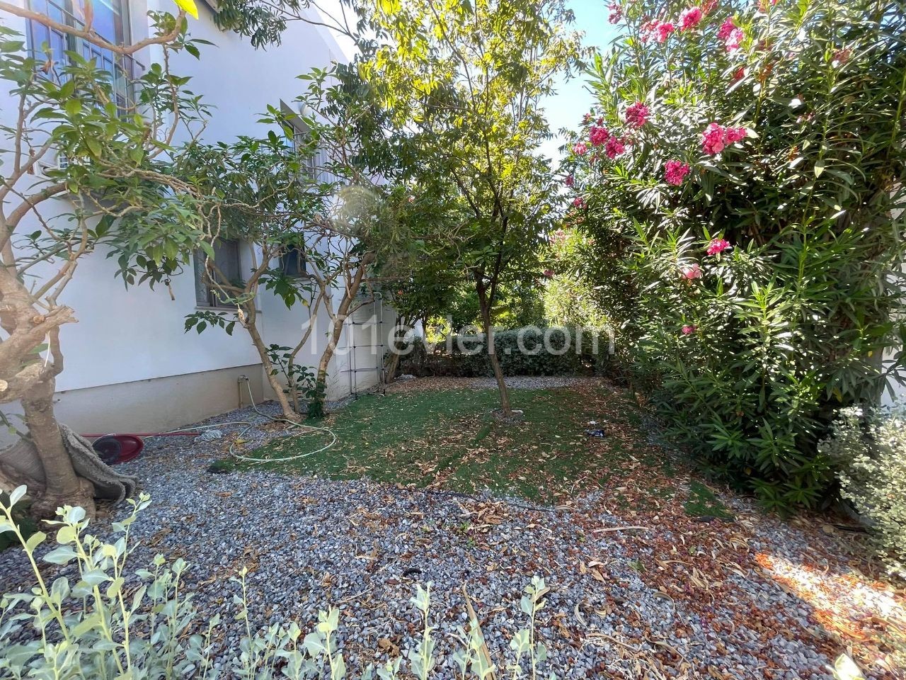 Flat To Rent in Alsancak, Kyrenia