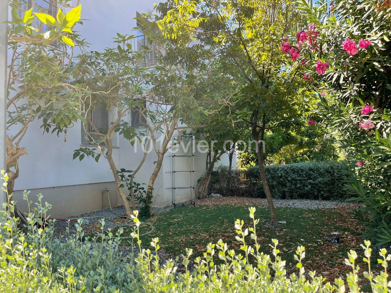 Flat To Rent in Alsancak, Kyrenia