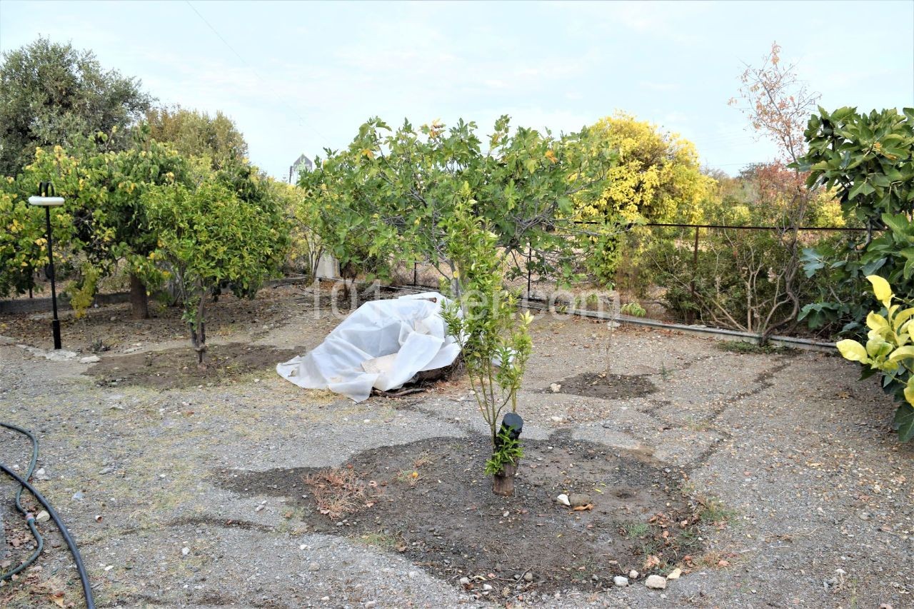 خانه مستقل برای اجاره in Ozanköy, گیرنه