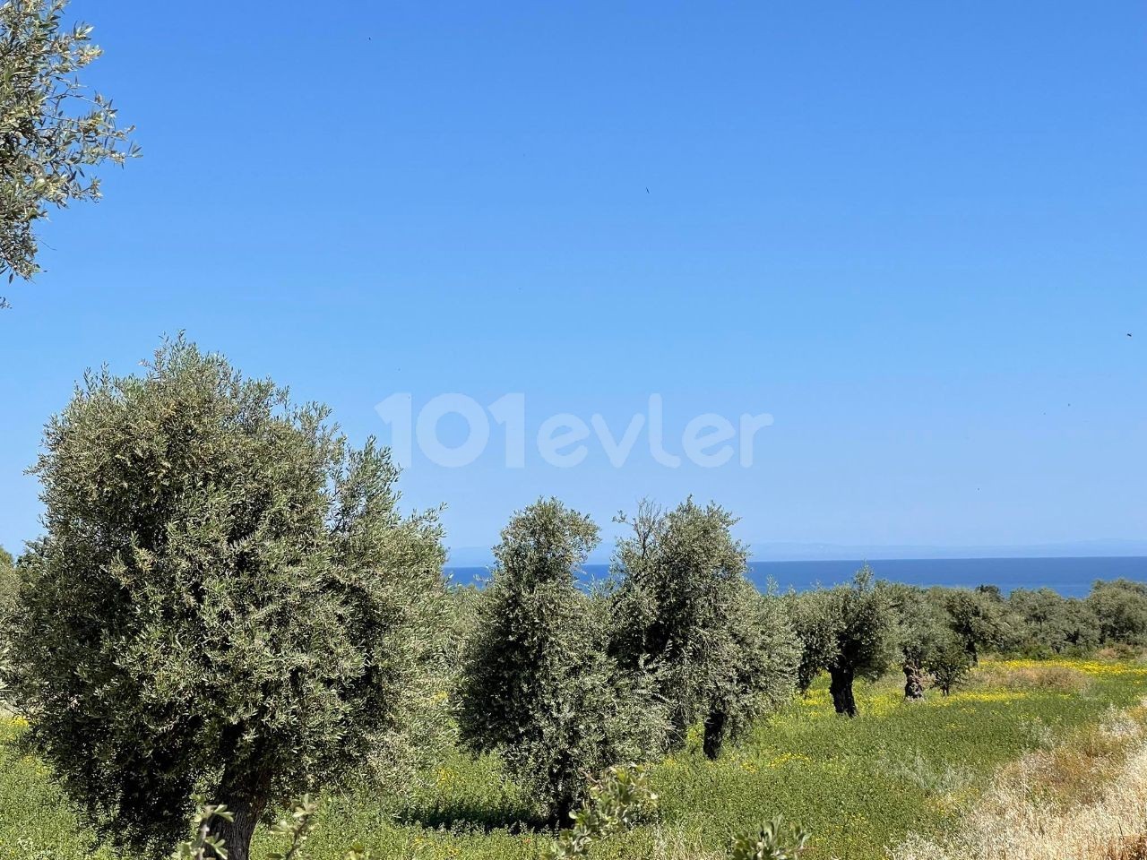 THE ONLY AUTHORIZED CYPRUS KYRENIA OZANKOY Dec FULL SEA VIEW OPPORTUNITY PLOTS ** 