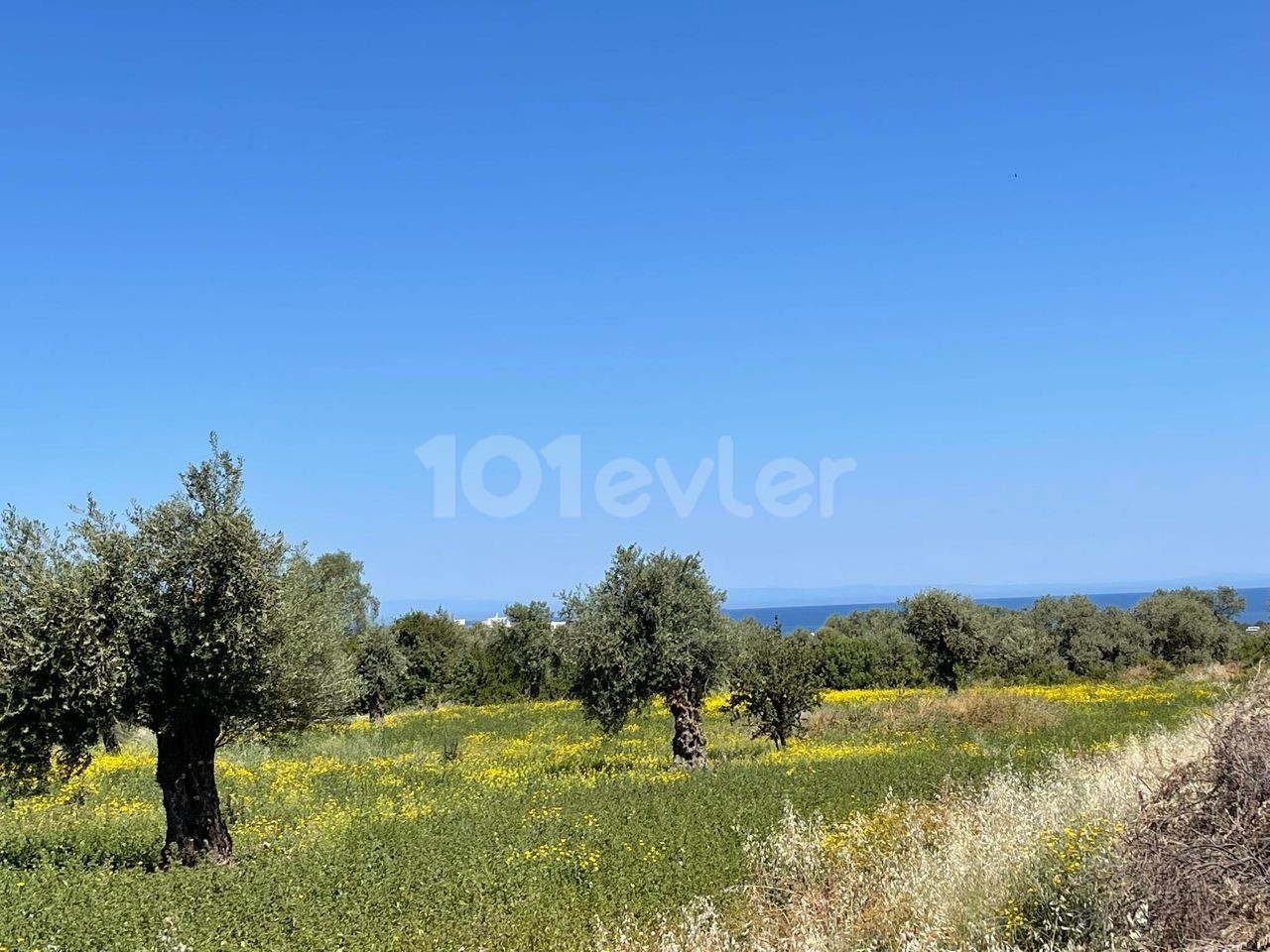 THE ONLY AUTHORIZED CYPRUS KYRENIA OZANKOY Dec FULL SEA VIEW OPPORTUNITY PLOTS ** 