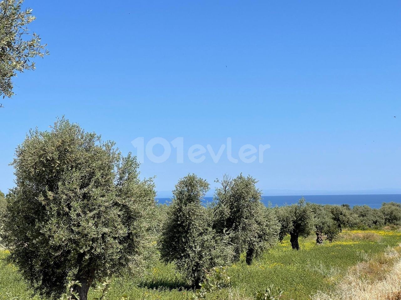 THE ONLY AUTHORIZED CYPRUS KYRENIA OZANKOY ALSO HAS A TURKISH KOCHANLI FULL-Decked SEA VIEW OPPORTUNITY PLOTS ** 