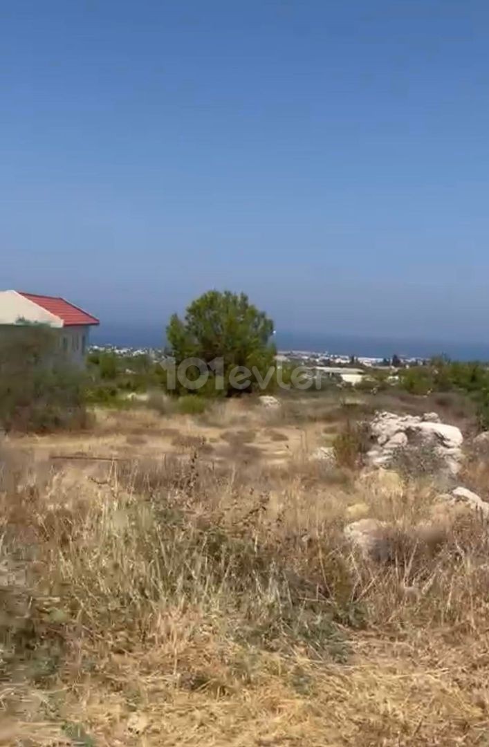 ЗЕМЛИ НА ПРОДАЖУ НА КИПРЕ GIRNE BELLAPAIS С ПОЛНЫМ ВИДОМ НА МОРЕ