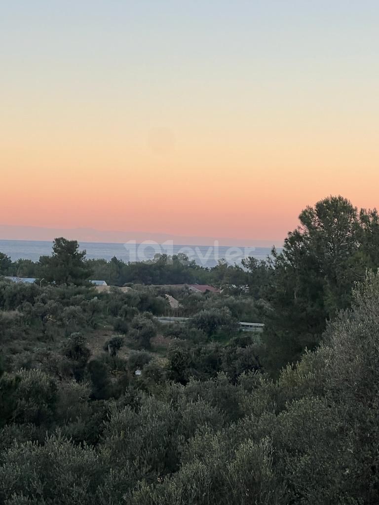 615 m2 großes türkisches Cob-Grundstück mit Meerblick im Girne Olive Garden