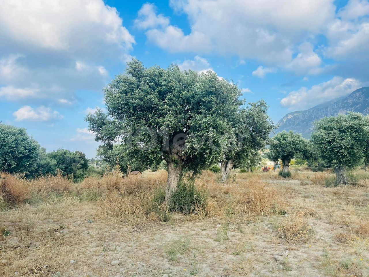 قبرس Kyrenia Karsiyaka da Turkish Cobble's Main Street نزدیک به 22. 5 هکتار از زمین های باشکوه