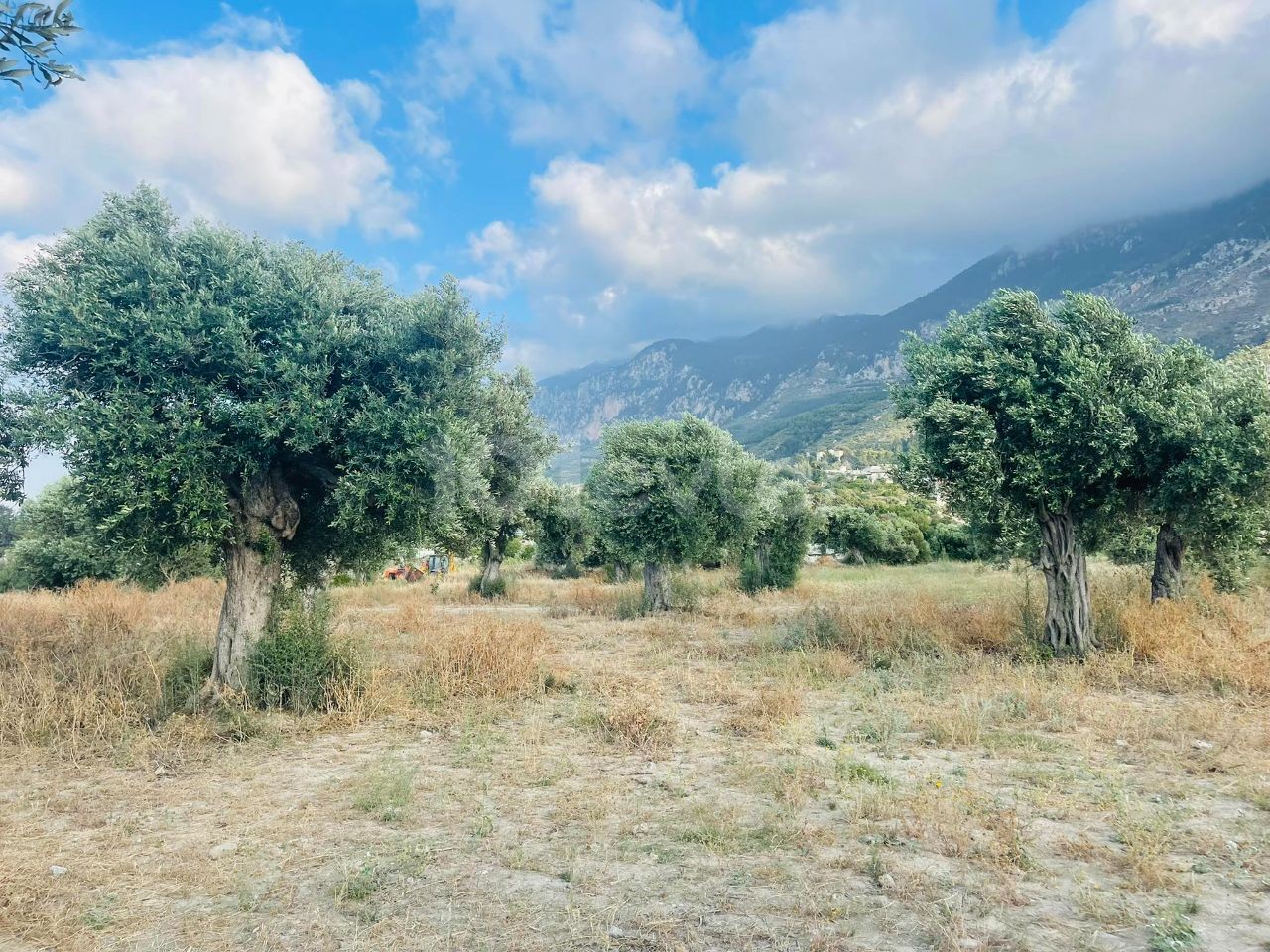 Cyprus Kyrenia Kyrenia Karsiyaka Turkish Coated Land Close to Main Street