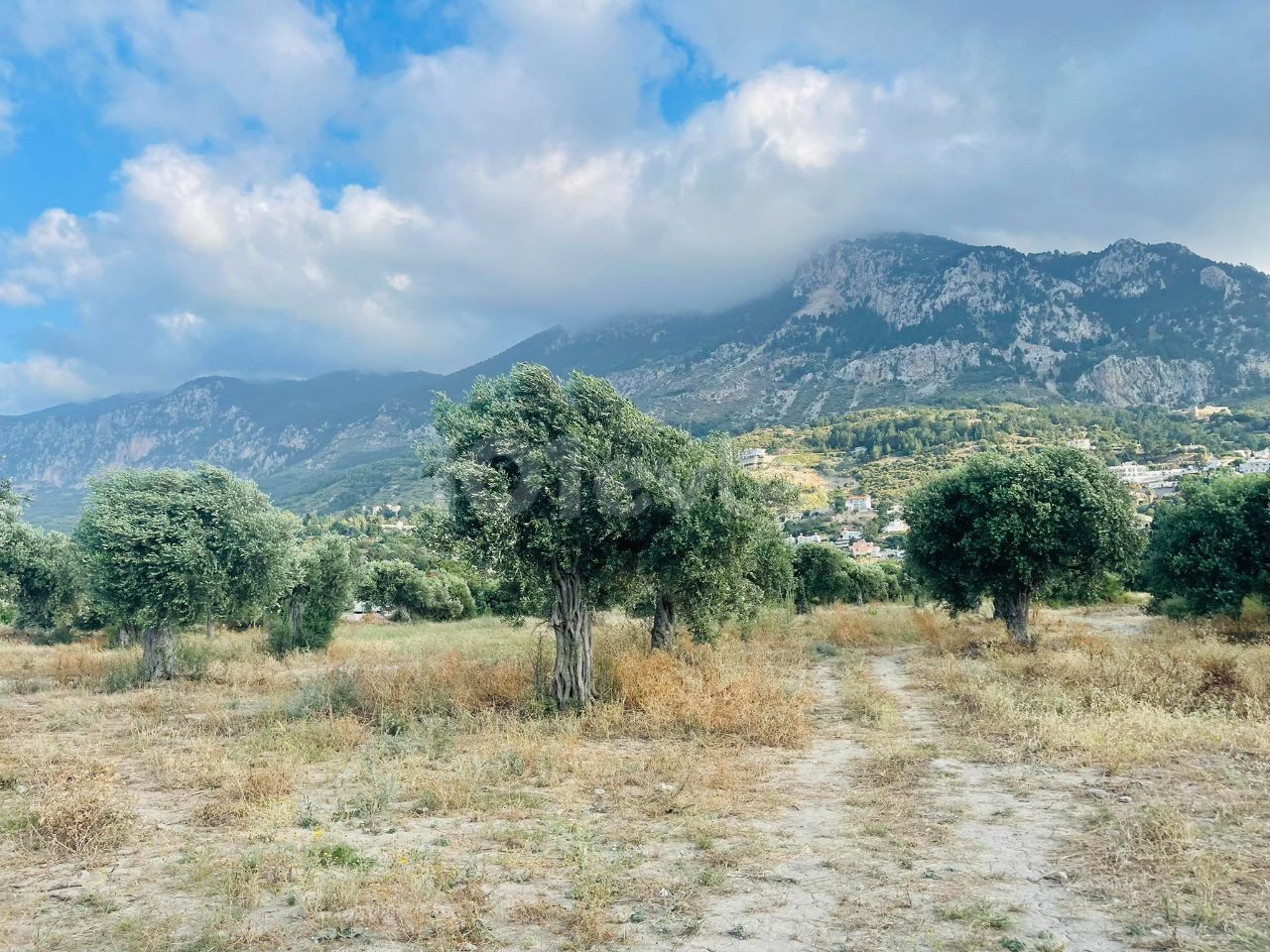 قبرس Kyrenia Karsiyaka da Turkish Cobble's Main Street نزدیک به 22. 5 هکتار از زمین های باشکوه