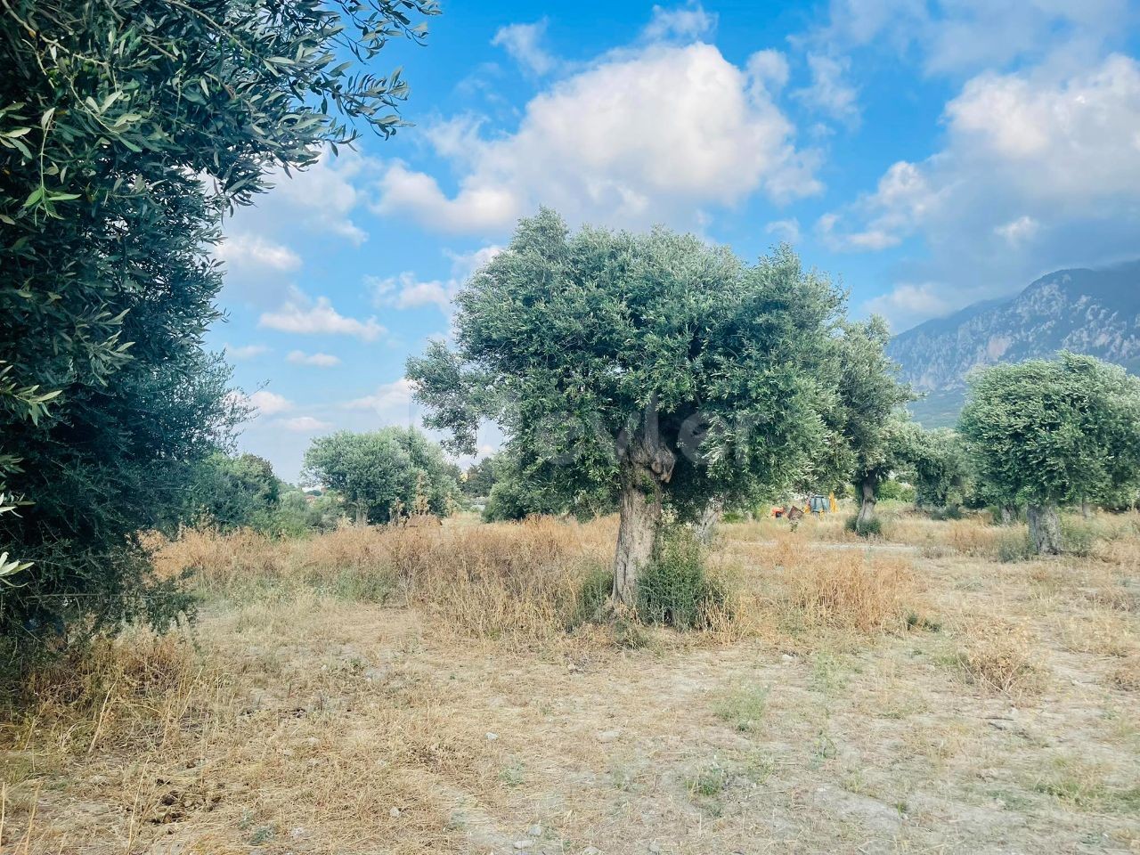 قبرس Kyrenia Karsiyaka da Turkish Cobble's Main Street نزدیک به 22. 5 هکتار از زمین های باشکوه