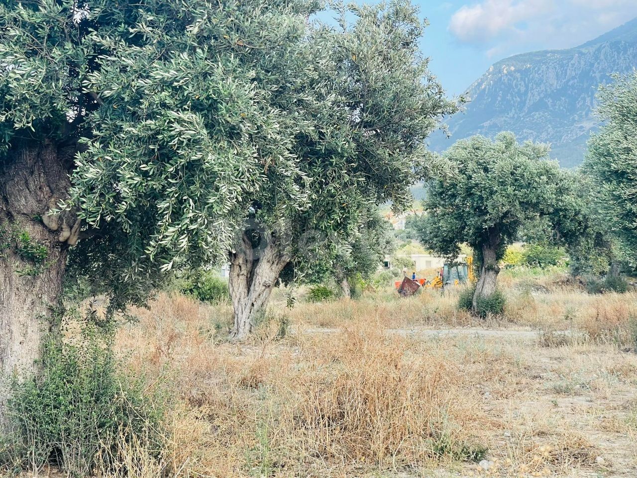 Cyprus Kyrenia Kyrenia Karsiyaka Turkish Coated Land Close to Main Street