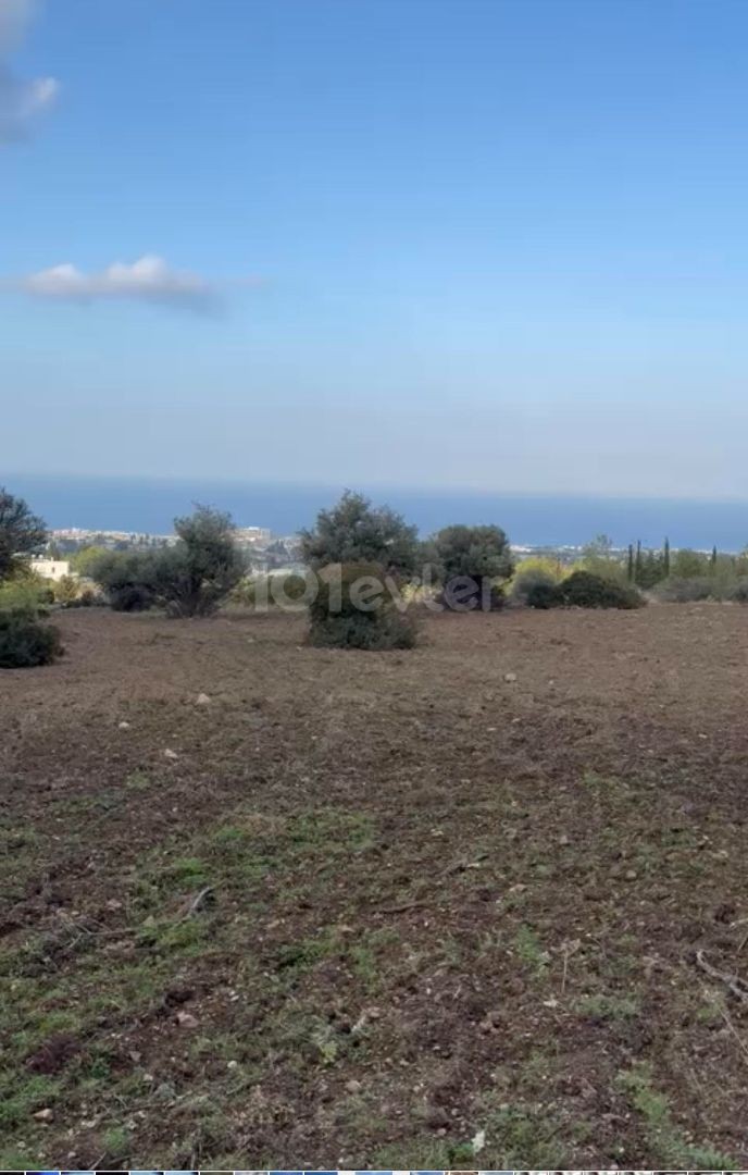 11 Acres Land (14929 m2) mit vollem Meerblick in Çatalköy, Kyrenia, Zypern