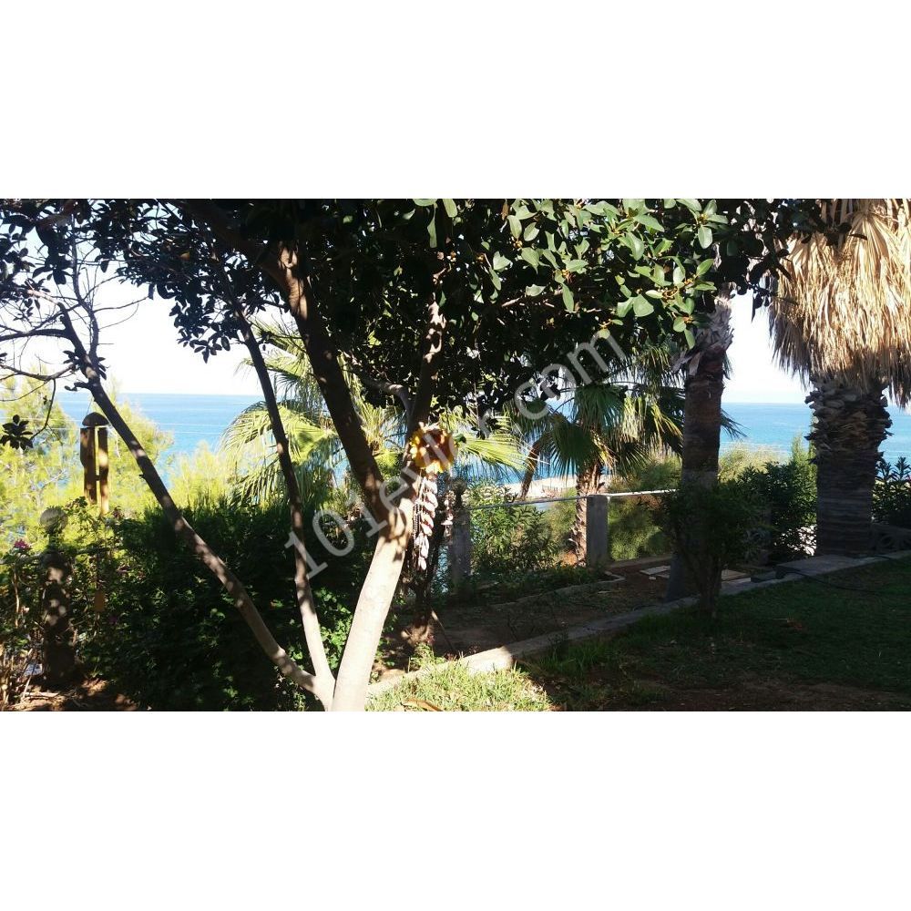 Girne Alsancak Bölgesinde Denize Sıfır Villa- RANA SHAIL 0533 869 9602