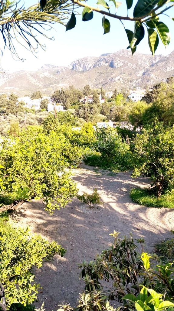 کسب و کار برای فروش in Ozanköy, گیرنه