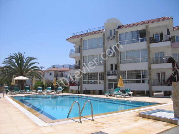 Fully furnished 3 bedroom apartment