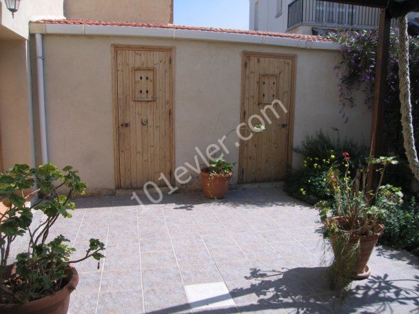 2 fully renovated village houses!