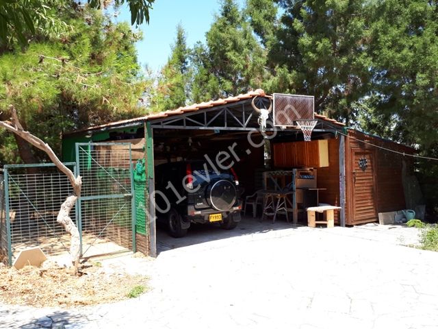 Bungalow Kaufen in Çatalköy, Kyrenia