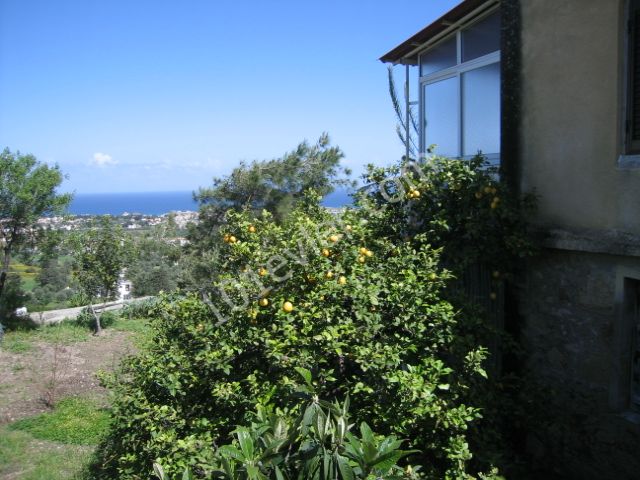 Village bungalow with super views!