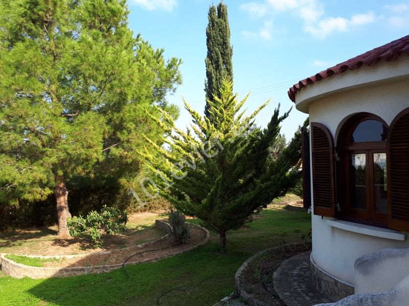 Classic bungalow on 2 donums land