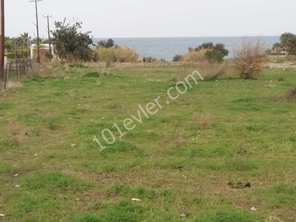 Girne Lapta'da kiralık villa