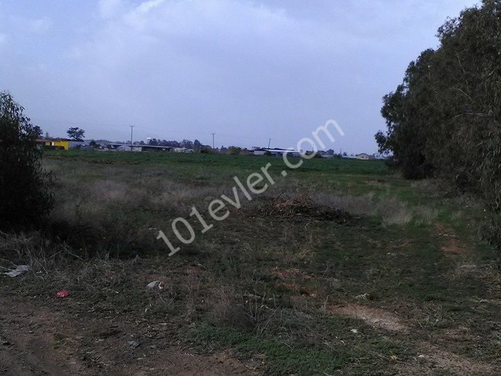 Residential Zoned Plot For Sale in Gaziveren, Lefke