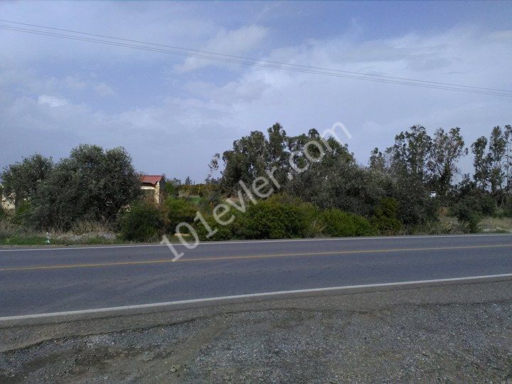 Residential Zoned Plot For Sale in Gaziveren, Lefke