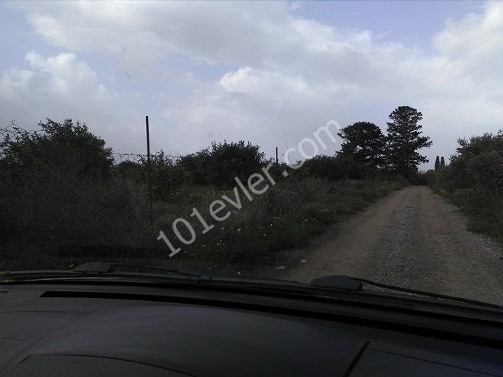 Residential Zoned Plot For Sale in Gaziveren, Lefke