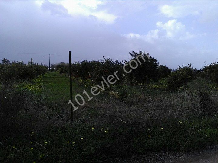 Residential Zoned Plot For Sale in Gaziveren, Lefke