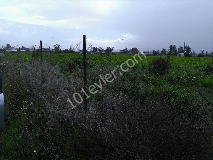 Residential Zoned Plot For Sale in Gaziveren, Lefke